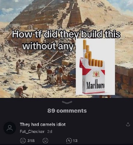 aid 89 comments They had camels idiot Fat_Checker 318