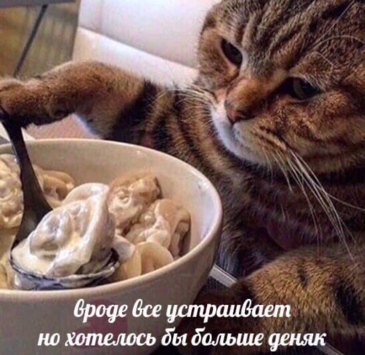вроде все устраивает но хотелось больше деняк