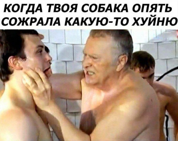 КОГДА ТВОЯ СОБАКА ОПЯТЬ СОЖРАЛА КАКУЮ-ТО ХУИНЮ