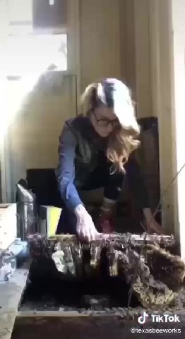 wtf<3