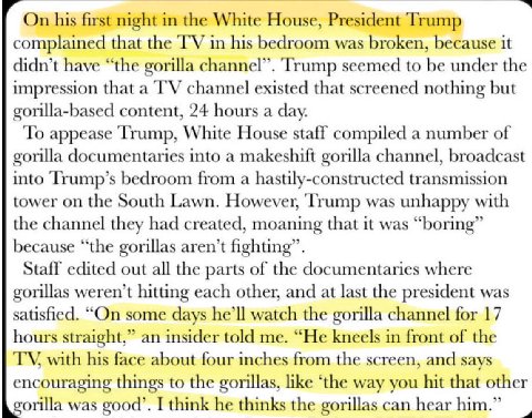 On his first night in the White House, President Trump complained that the in his bedroom was broken, because it didn’t have “the gorilla channel”. Trump seemed to be under the impression that a chann