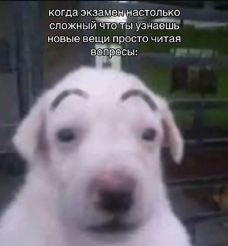 когда экзамен настолько сложный ЧТО ТЫ узнаешь новые вещи просто читая вопросы: