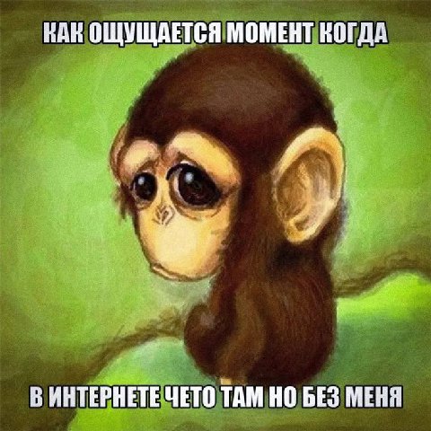 КАН ОЩУЩАЕТСЯ МОМЕНТ КОГДА ИНТЕРНЕТЕ ЧЕТО ТАМ НО БЕЗ МЕНЯ