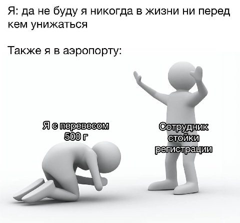 Я: да не буду я никогда в жизни ни перед кем унижаться Также я в аэропорту: стойки