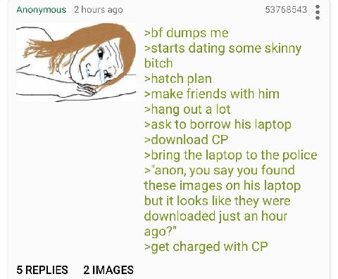 Anonymous 2 Поуг$ ago 53768543 dumps a >starts dating some skinny bitch >hatch plan >make friends with him >hang out a lot >ask to borrow his laptop >download >bring the laptop to the police >"anon, y
