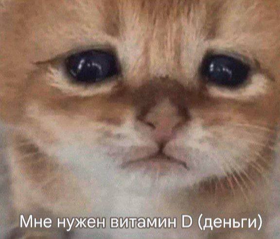 Мне нужен витамин (деньги)