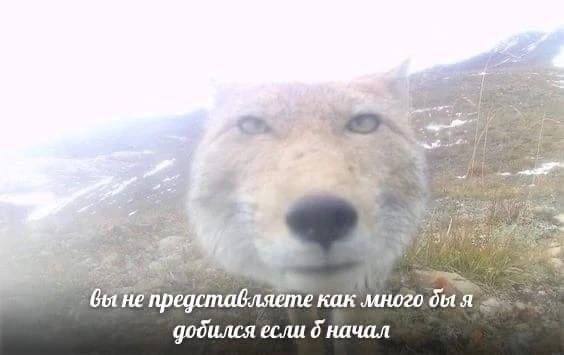 4 On к и как Obt добился если 6 начал