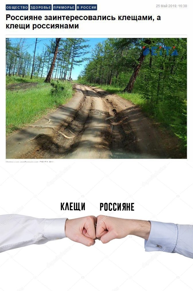 Россияне заинтересовались клещами, а клещи россиянами 7 Ran КАЕЩИ РОССИЯНЕ —5