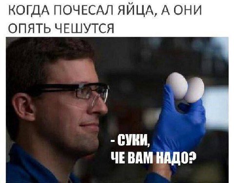 КОГДА ПОЧЕСАЛ ЯЙЦА, А ОНИ ОПЯТЬ ЧЕШУТСЯ СУКИ, ЧЕВАМ