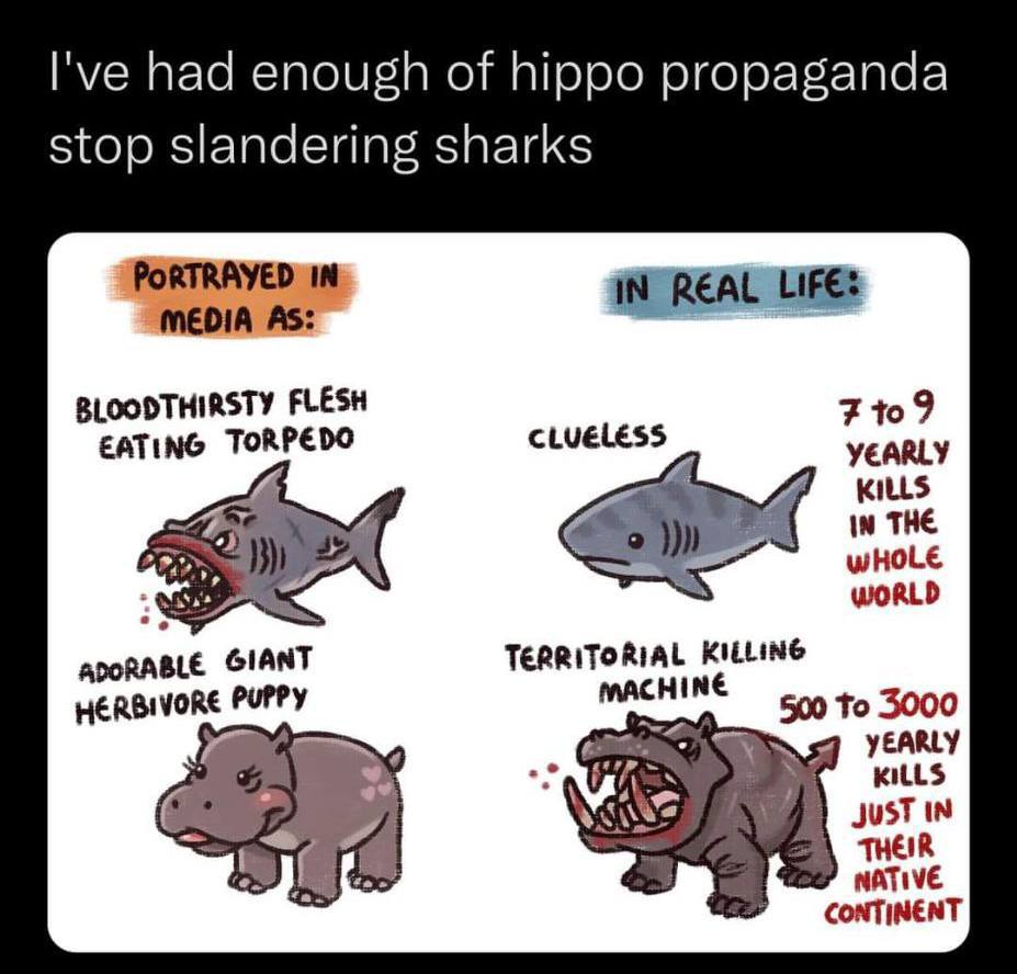 I've had enough of hippo propaganda stop slandering sharks PoRTRAYED IN REAL LIFE: MEDIA As: BLOODTHIRSTY FLESH CLUELESS YEARLY EATING KILLS у) IN THE wHOLe WORLD TERRITORIAL KILLING MACHIN 500 To 300