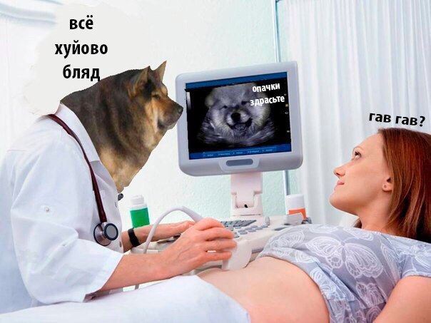 всё хуйово бля опачки Гав гав? 7