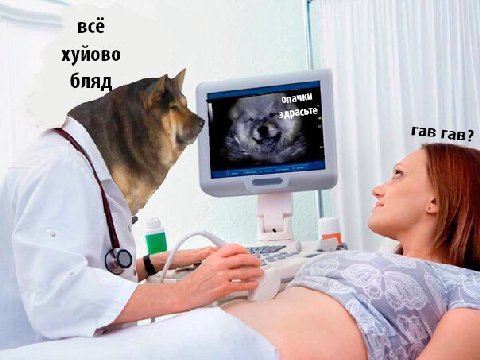 всё хуйово бля опачки Гав гав? 7
