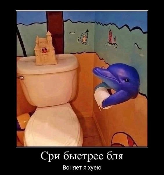 Сри быстрее бля Воняет я хуею
