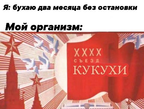 Я: бухаю два месяца без остановки Мой организм: Я i СЪЕЗД КУКУХИ