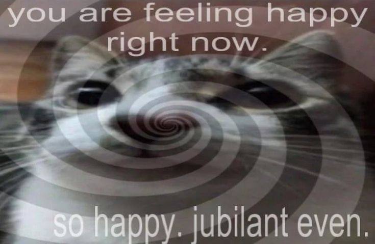 you are feeling happy right рру. jubilant even