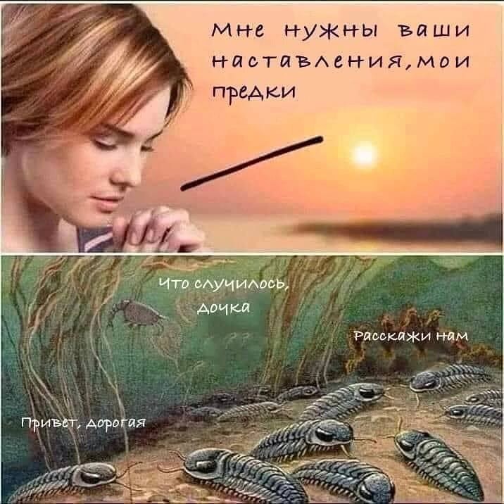 4 мне нужны Balu пред 7 i Нам привет, дорогая 4