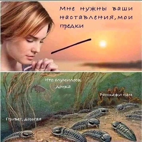 4 мне нужны Balu пред 7 i Нам привет, дорогая 4