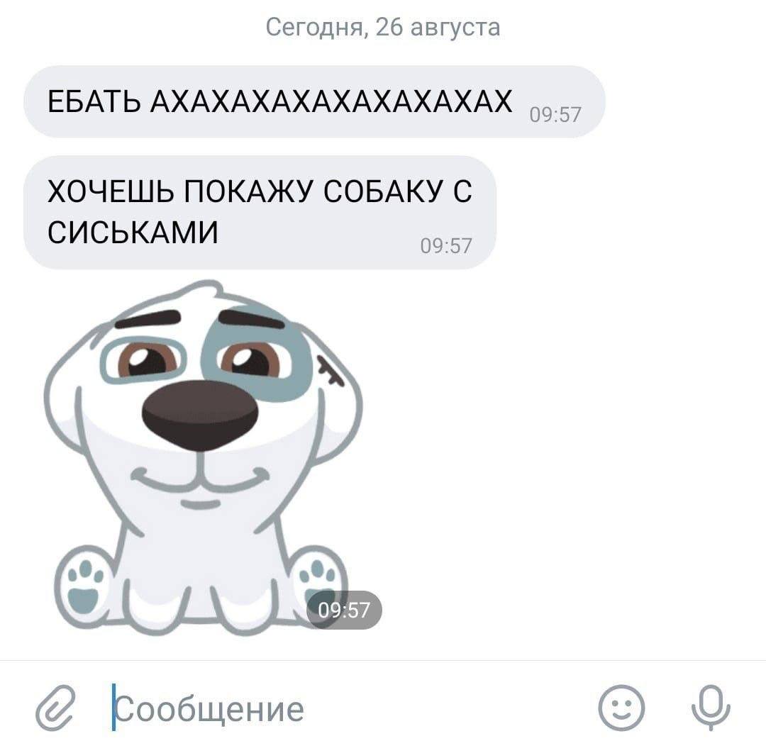 Продолжать постить или лучше найти работу? 🤔