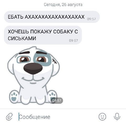 Продолжать постить или лучше найти работу? 🤔