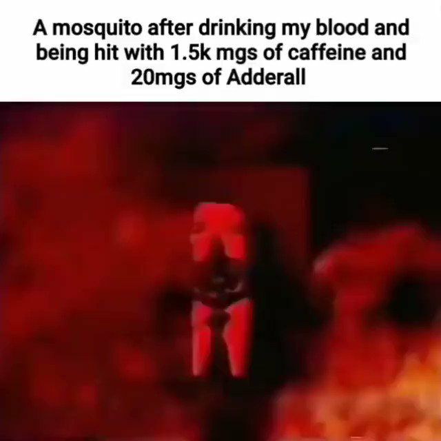 А mosquito after drinking my blood and being hit with mgs of caffeine and 20mgs of Adderall