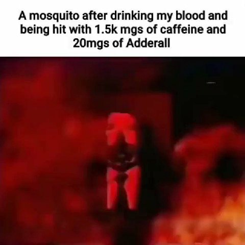 А mosquito after drinking my blood and being hit with mgs of caffeine and 20mgs of Adderall