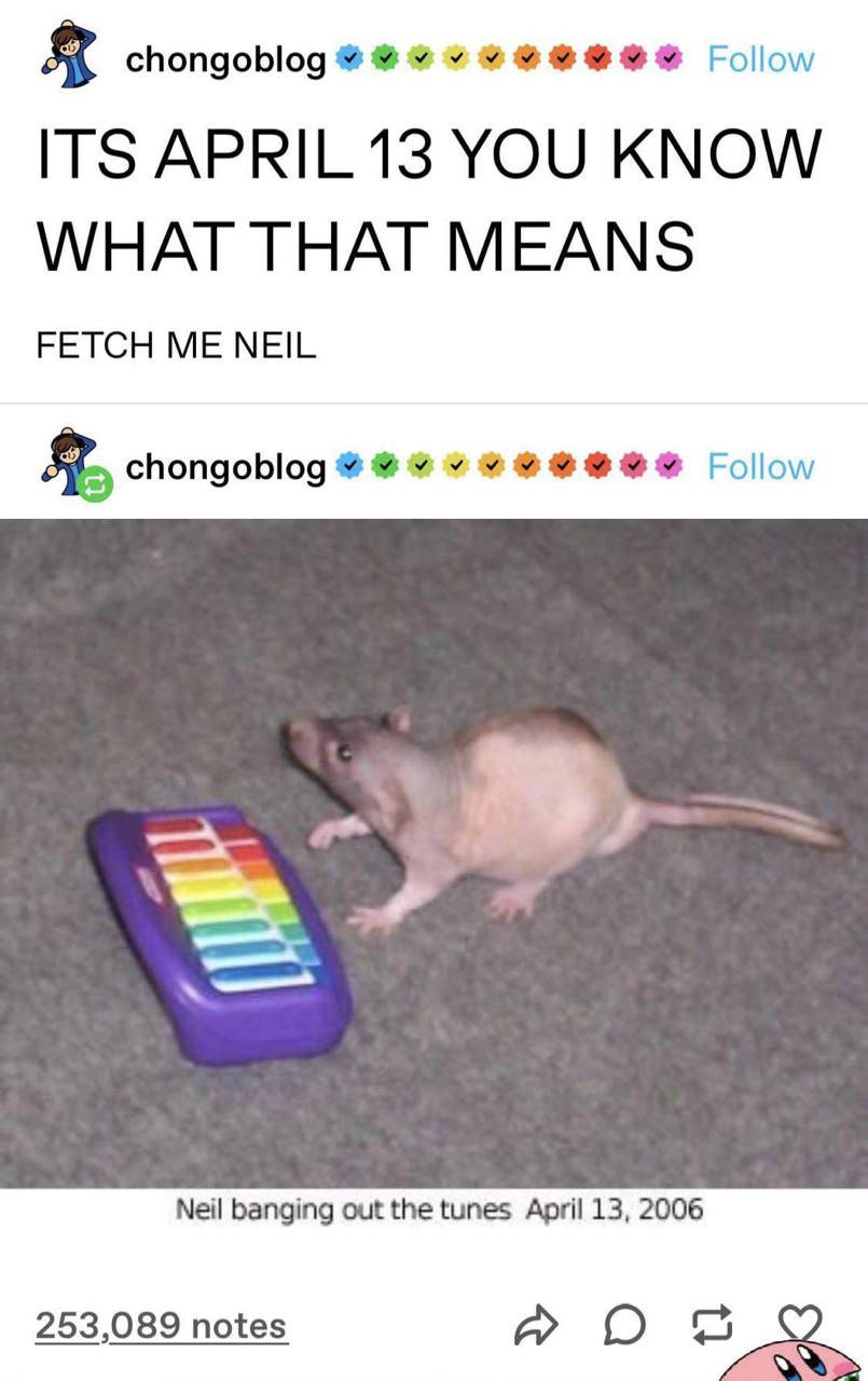 chongoblog Follow ITS APRIL 13 YOU KNOW WHAT THAT MEANS FETCH ME NEIL chongoblog Follow 4“ Мей banging out the tunes April 13, 2006 253,089 notes