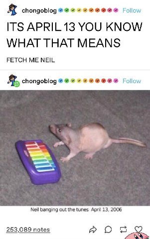 chongoblog Follow ITS APRIL 13 YOU KNOW WHAT THAT MEANS FETCH ME NEIL chongoblog Follow 4“ Мей banging out the tunes April 13, 2006 253,089 notes