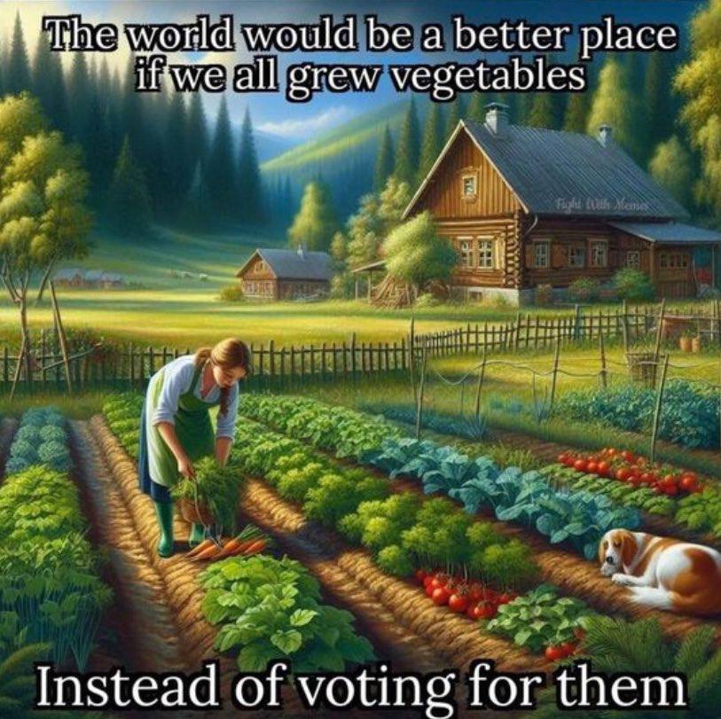 would be a better place ‘all vegetables Instead of voting for them