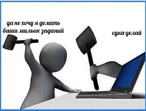 He хочу я делать ваиш мильон заданий сука делай