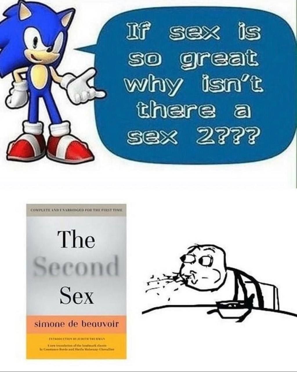 №7 sex is isn’t there a [95 The Second 2 Sex simone beauvoir
