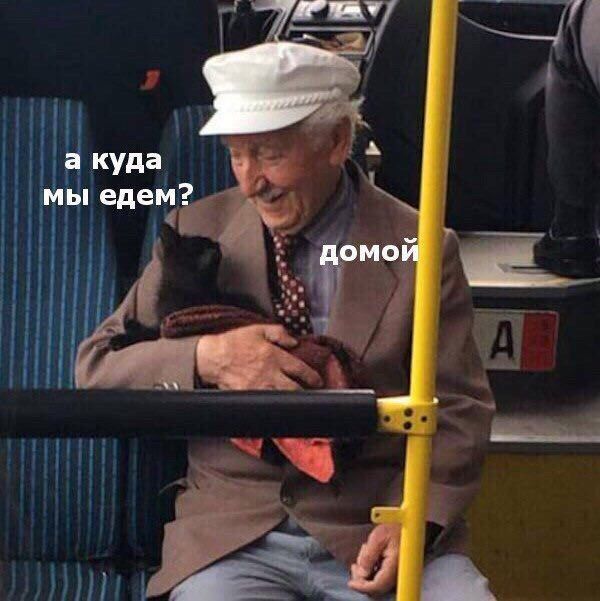 а куда мы едем? домой