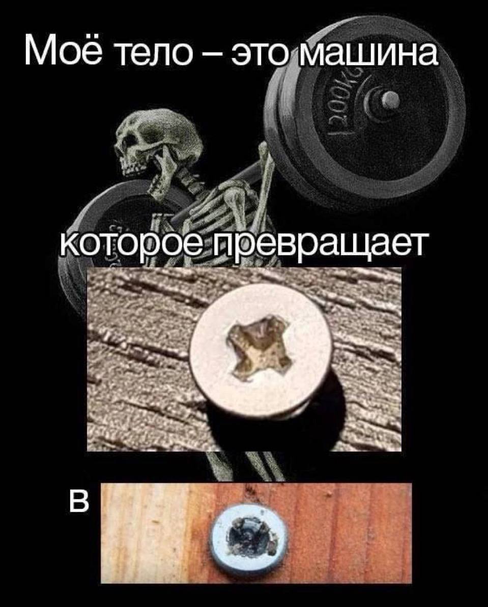 Мое тело это машина которое превращает
