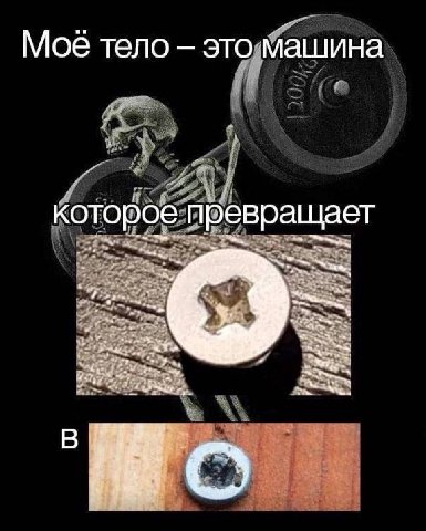 Мое тело это машина которое превращает