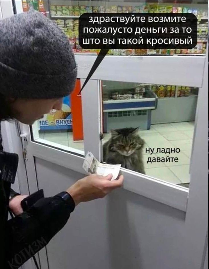здраствуите возмите пожалусто деньги за TO што вы такой кросивый ВНУЕ ну ладно давайте
