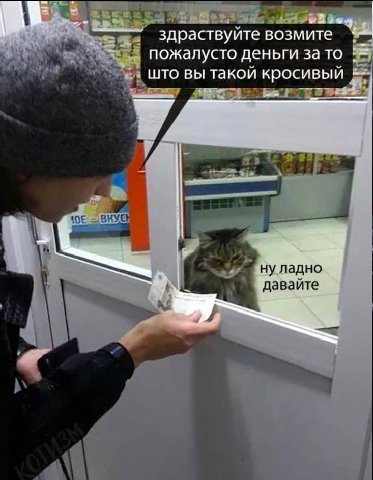 здраствуите возмите пожалусто деньги за TO што вы такой кросивый ВНУЕ ну ладно давайте