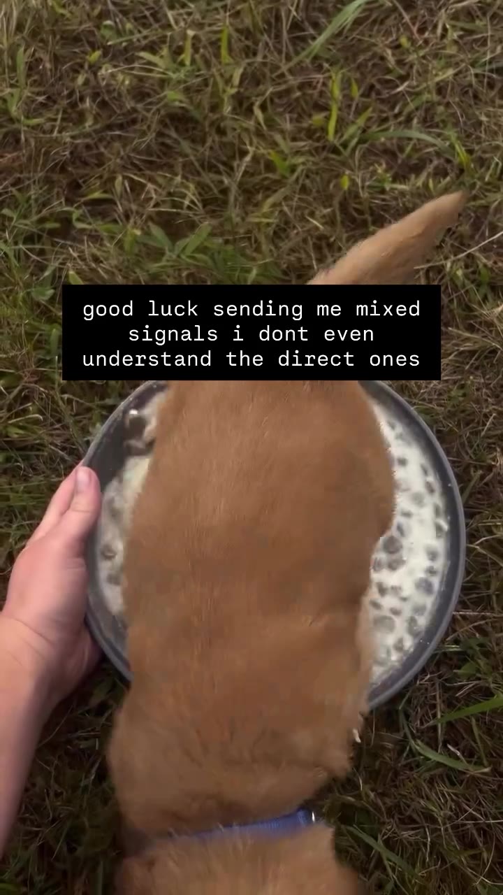 good luck sending me mixed understand the direct ones