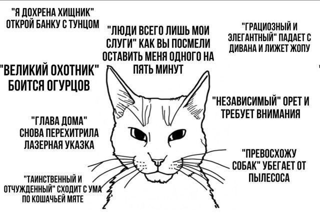 "Я ДОХРЕНА ХИЩНИК" ОТКРОЙ БАНКУ С ТУНЦОМ "ЛЮДИ ВСЕГО ЛИШЬ МОИ "ГРАЦИОЗНЫЙ И СЛУГИ" КАК ВЫ ПОСМЕЛИ ЭЛЕГАНТНЫЙ" ПАДАЕТ С ОСТАВИТЬ МЕНЯ ОДНОГО НА ДИВАНА И ЛИЖЕТ ЖОПУ "ВЕЛИКИЙ ОХОТНИК" БОИТСЯ ОГУРЦОВ МИНУ