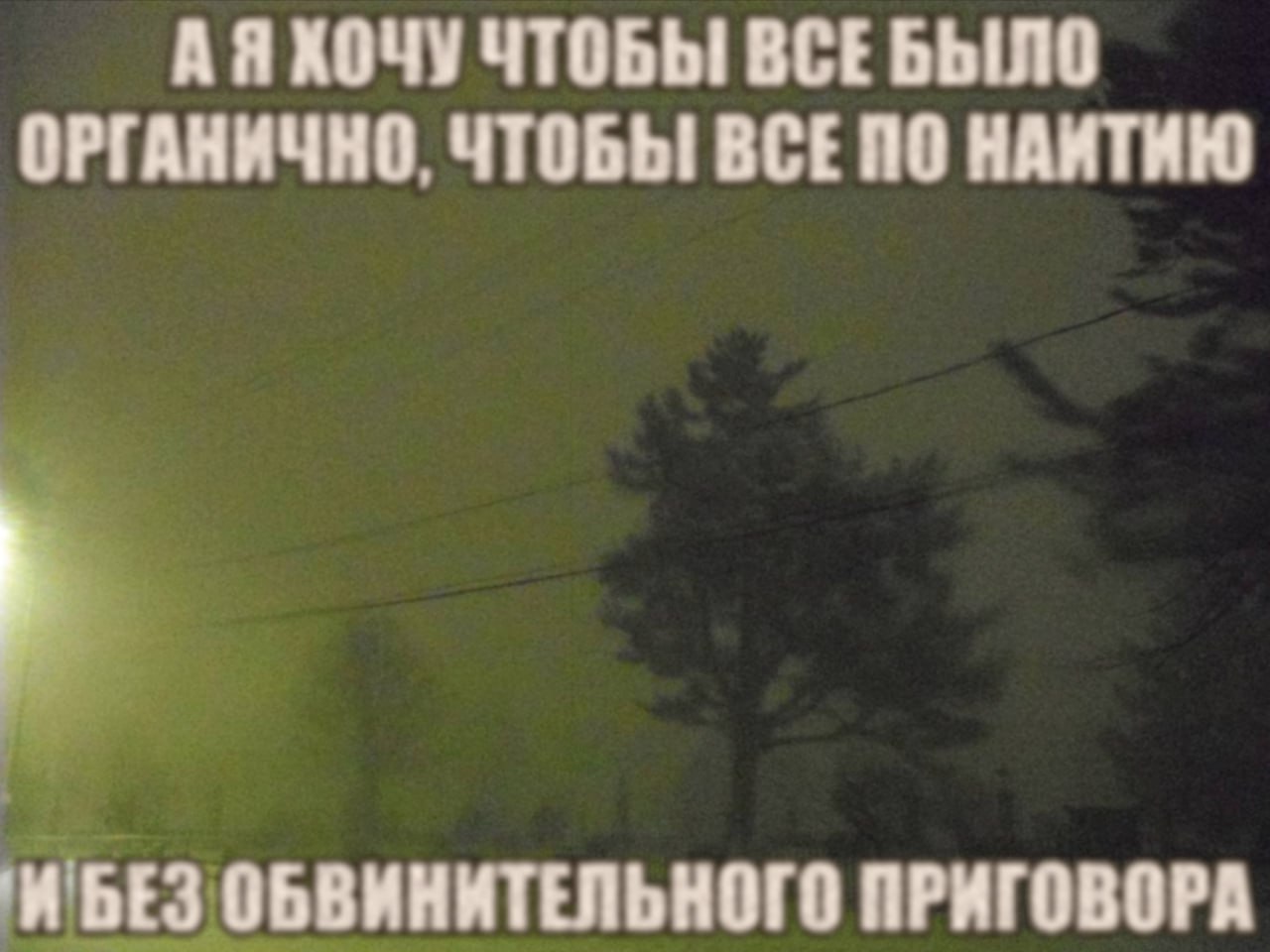 АЯХОЧУ ЧТОБЫ ВСЕБЫЛО ОРГАНИЧНО, ЧТОБЫ BCE НАИТИЮ 'И БЕЗ ОБВИНИТЕЛЬНОГО ПРИГОВОРА