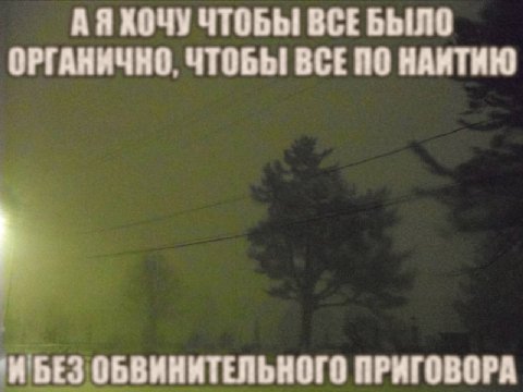 АЯХОЧУ ЧТОБЫ ВСЕБЫЛО ОРГАНИЧНО, ЧТОБЫ BCE НАИТИЮ 'И БЕЗ ОБВИНИТЕЛЬНОГО ПРИГОВОРА