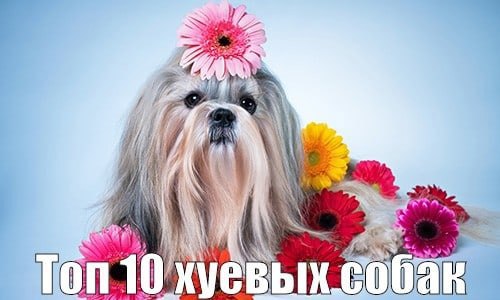 Ton 10 хуевых