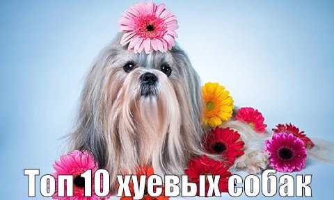 Ton 10 хуевых