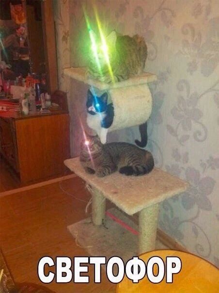 СВЕТОФОР