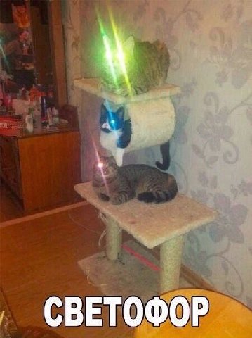 СВЕТОФОР