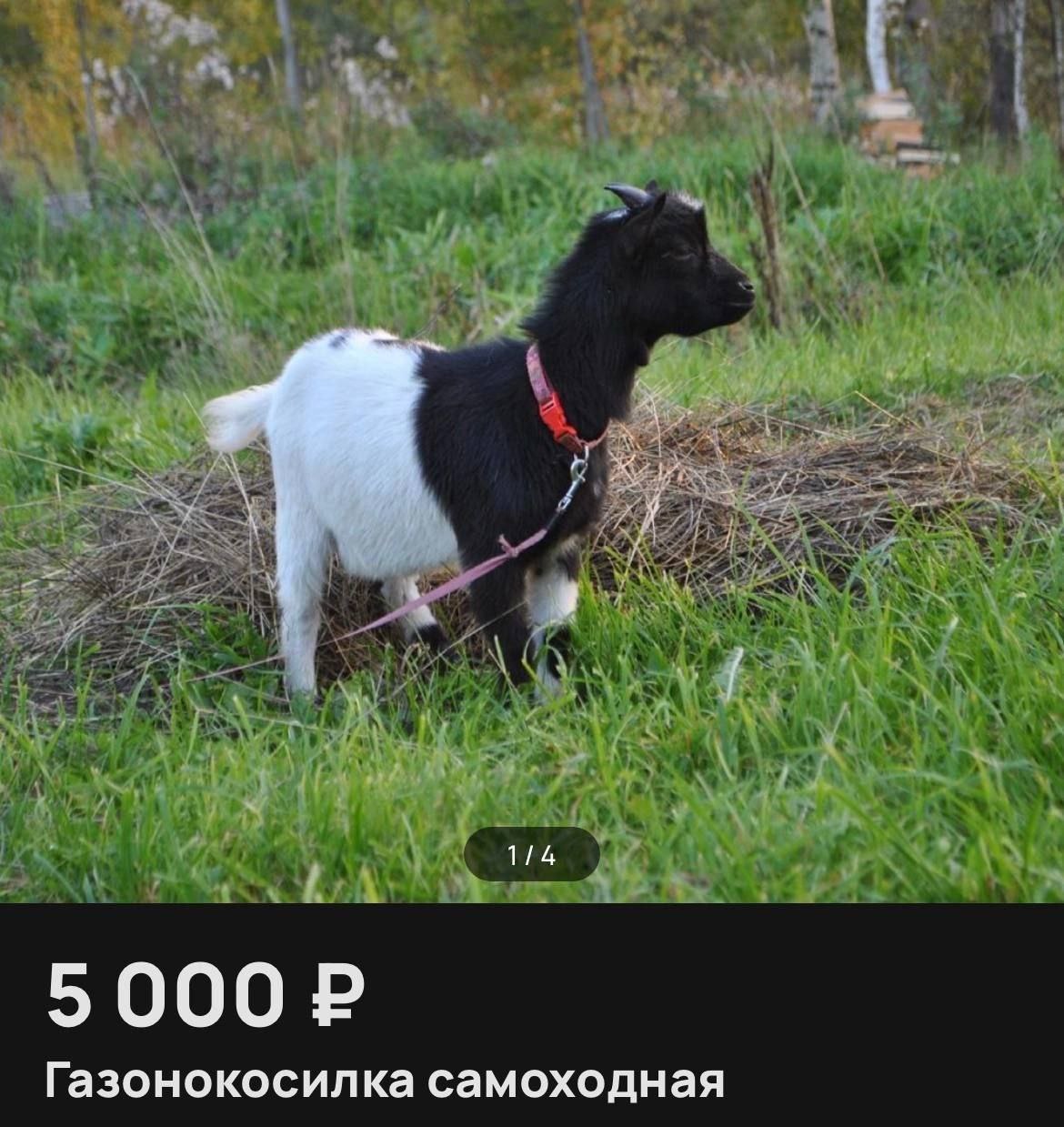 1/4 Газонокосилка самоходная