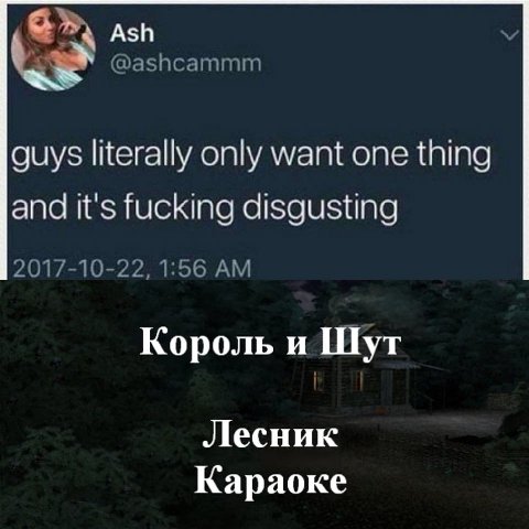 Ash @ashcammm guys literally only want one thing and it's fucking disgusting 2017-10-22, 1:56 Король и Шут Лесник Караоке