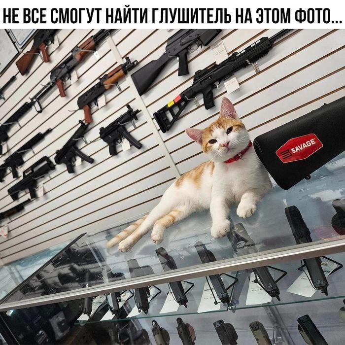 НЕ ВСЕ СМОГУТ НАЙТИ ГЛУШИТЕЛЬ НА ЭТОМ ФОТО... 4 9 4
