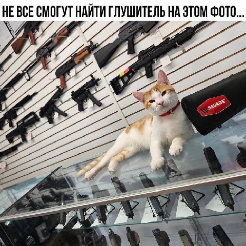 НЕ ВСЕ СМОГУТ НАЙТИ ГЛУШИТЕЛЬ НА ЭТОМ ФОТО... 4 9 4