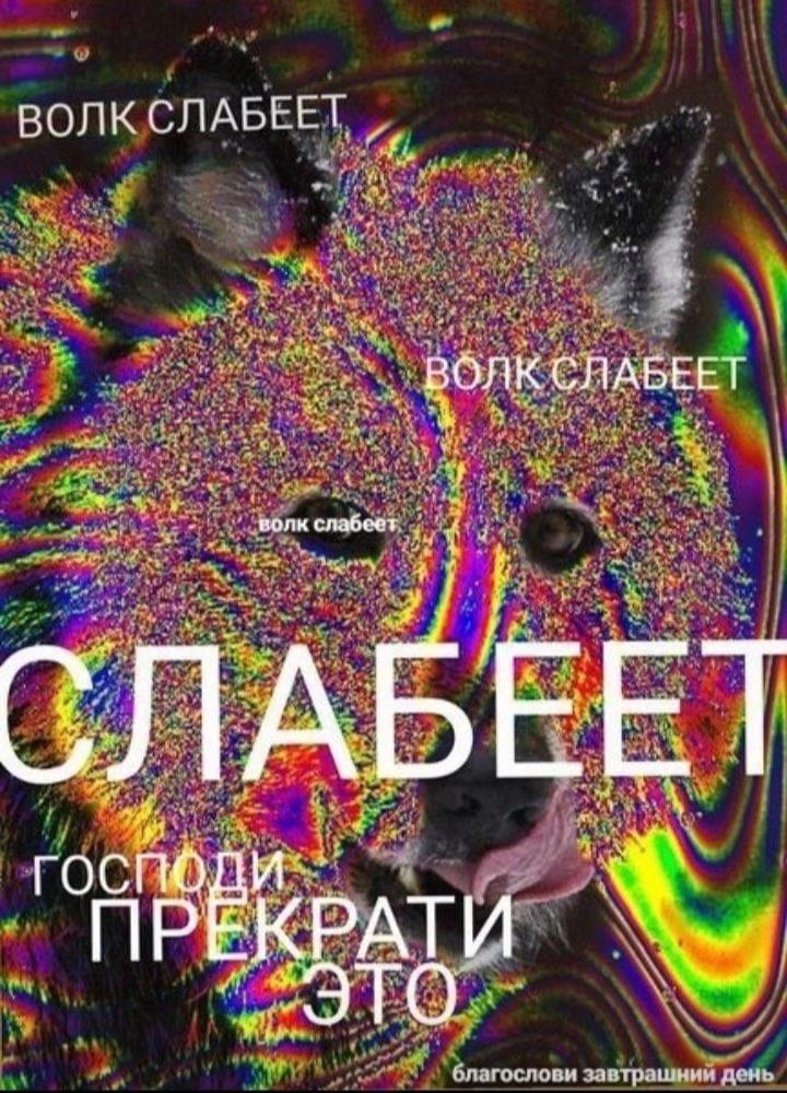 ВОЛК СЛАБЕЕТ ВОЛК СЛАБЕЕТ волк слабеет 4 A ПРЕКРАГИ БАЛГОСЛОВИ завтрашнии день