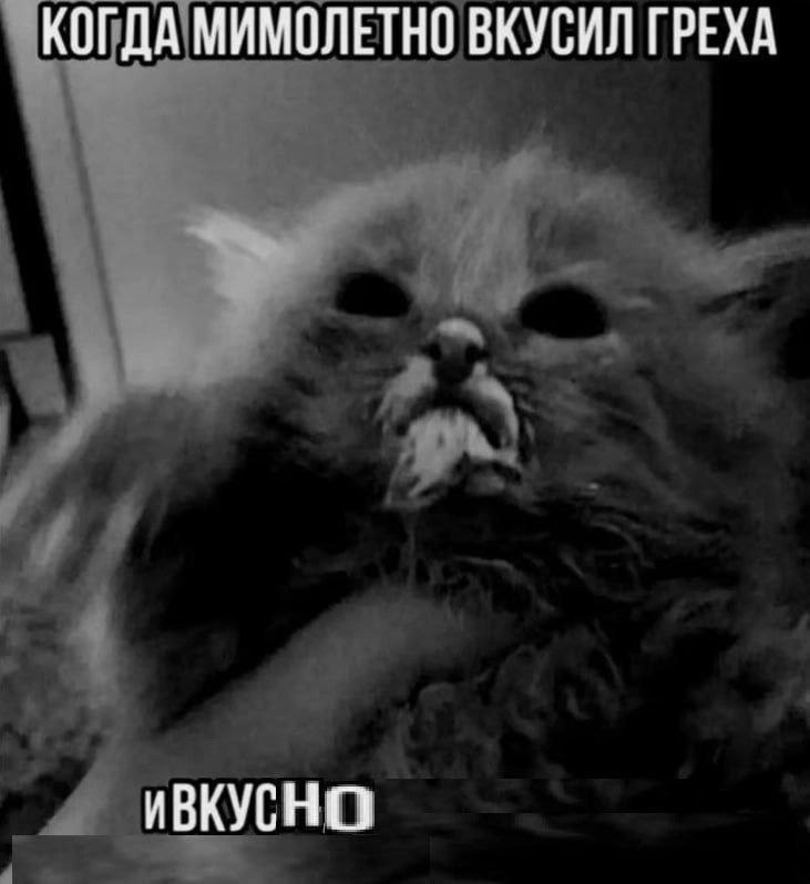 КОГДА МИМОЛЕТНО ВКУСИЛ ГРЕХА ИВКУСНО