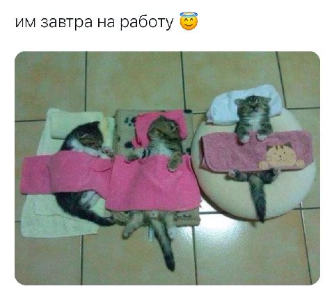 завтра на работу